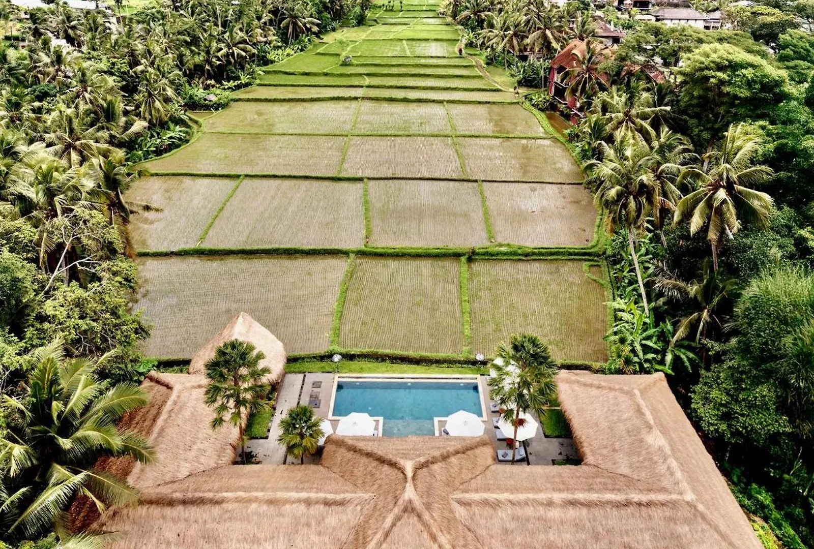 Hotel Villa Jepun Ubud