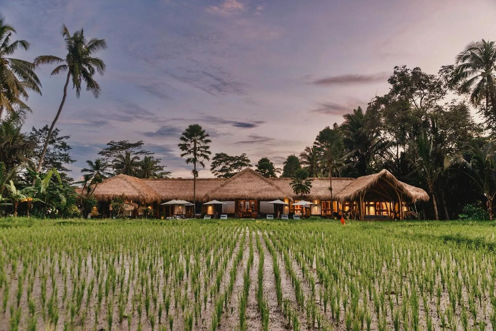 Hotel Villa Jepun Ubud